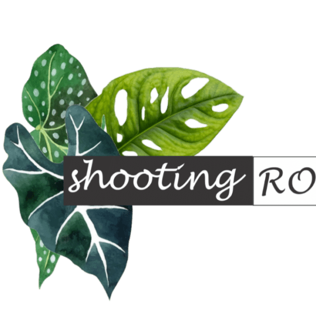 Shooting Roots