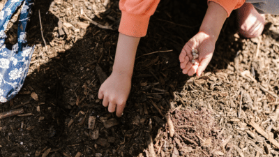 What-can-I-grow-in-South-Africa-during-winter