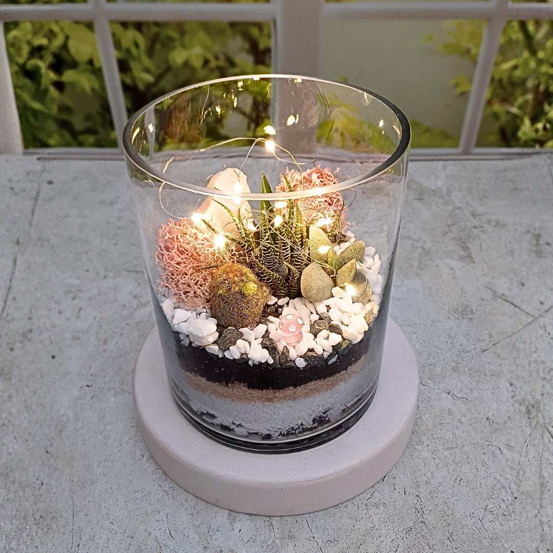 6 Succulent terrarium in a clear glass cylinder with fairy lights, moss, pebbles, and layered sand — glowing indoor mini garden.
